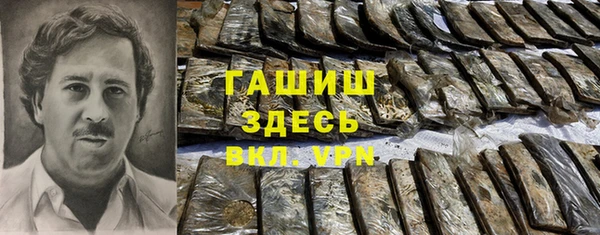 гашик Алексеевка