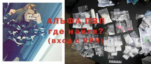 стафф Алексин