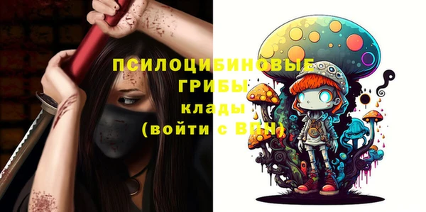 стафф Алексин