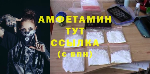 гашик Алексеевка