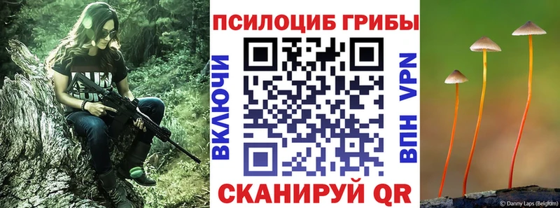 Галлюциногенные грибы мицелий  Дедовск 