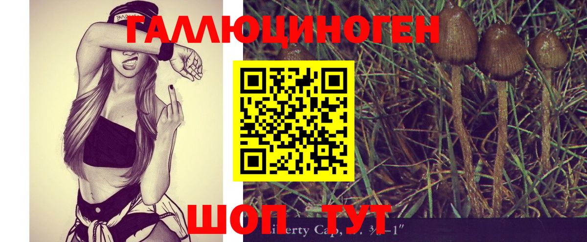 Галлюциногенные грибы Magic Shrooms Дедовск
