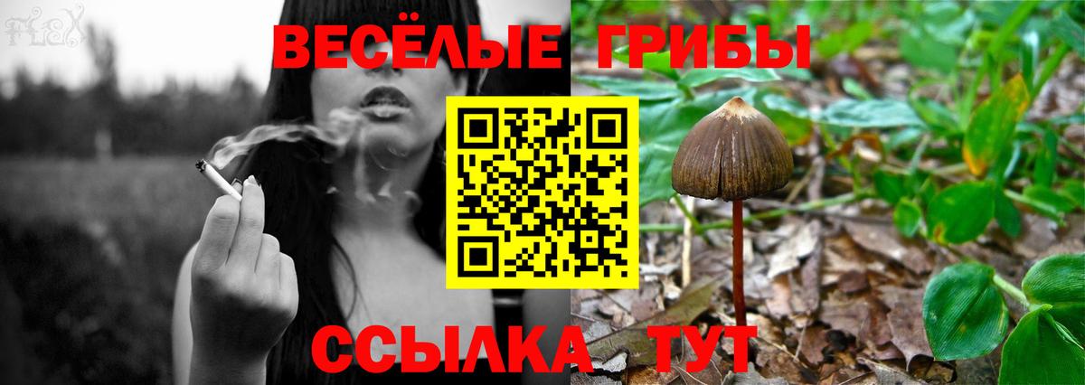 Галлюциногенные грибы MAGIC MUSHROOMS  Вход с VPN  Дедовск 